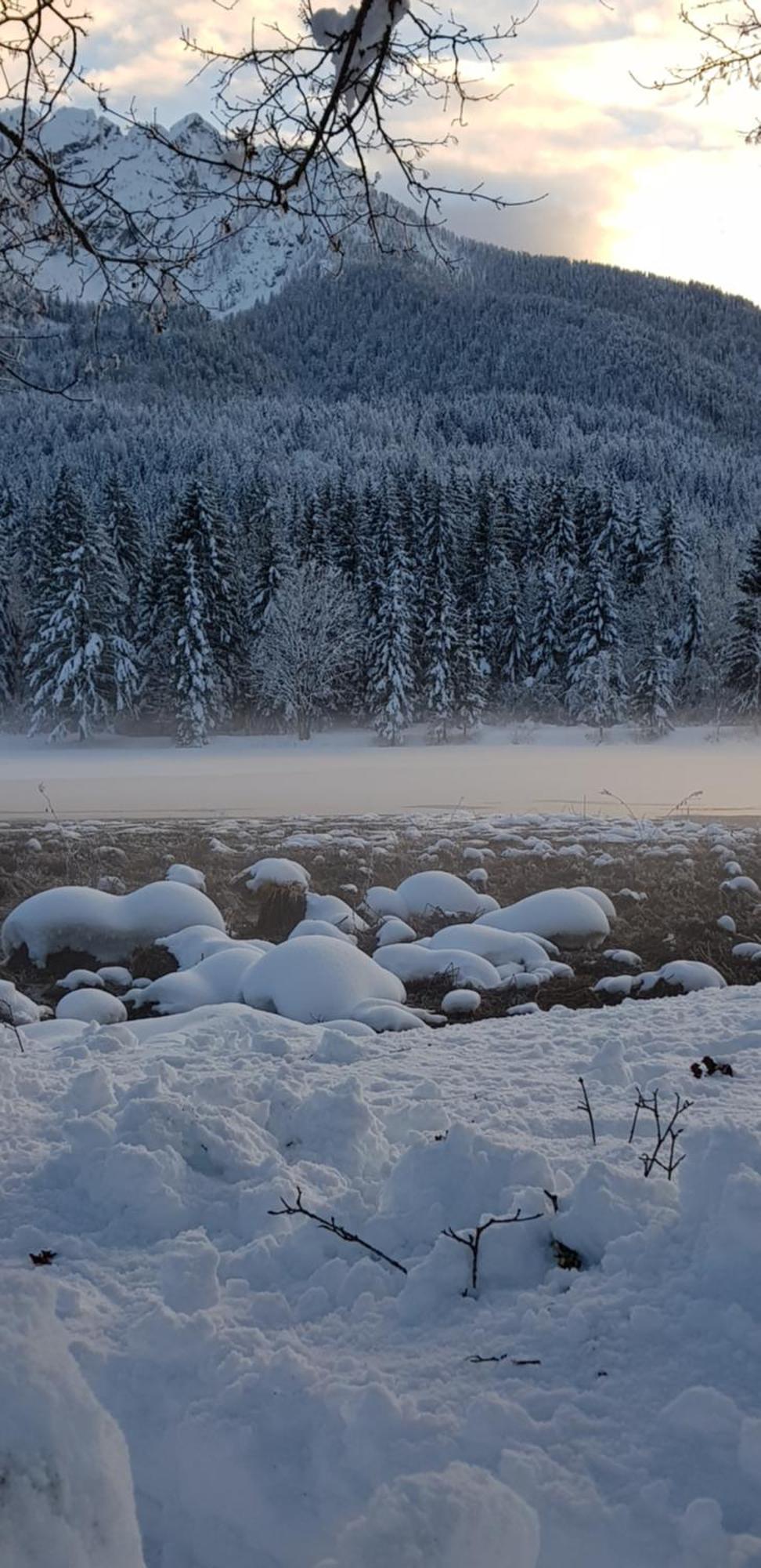 Zajcek Apartma Mojstrana Luaran gambar