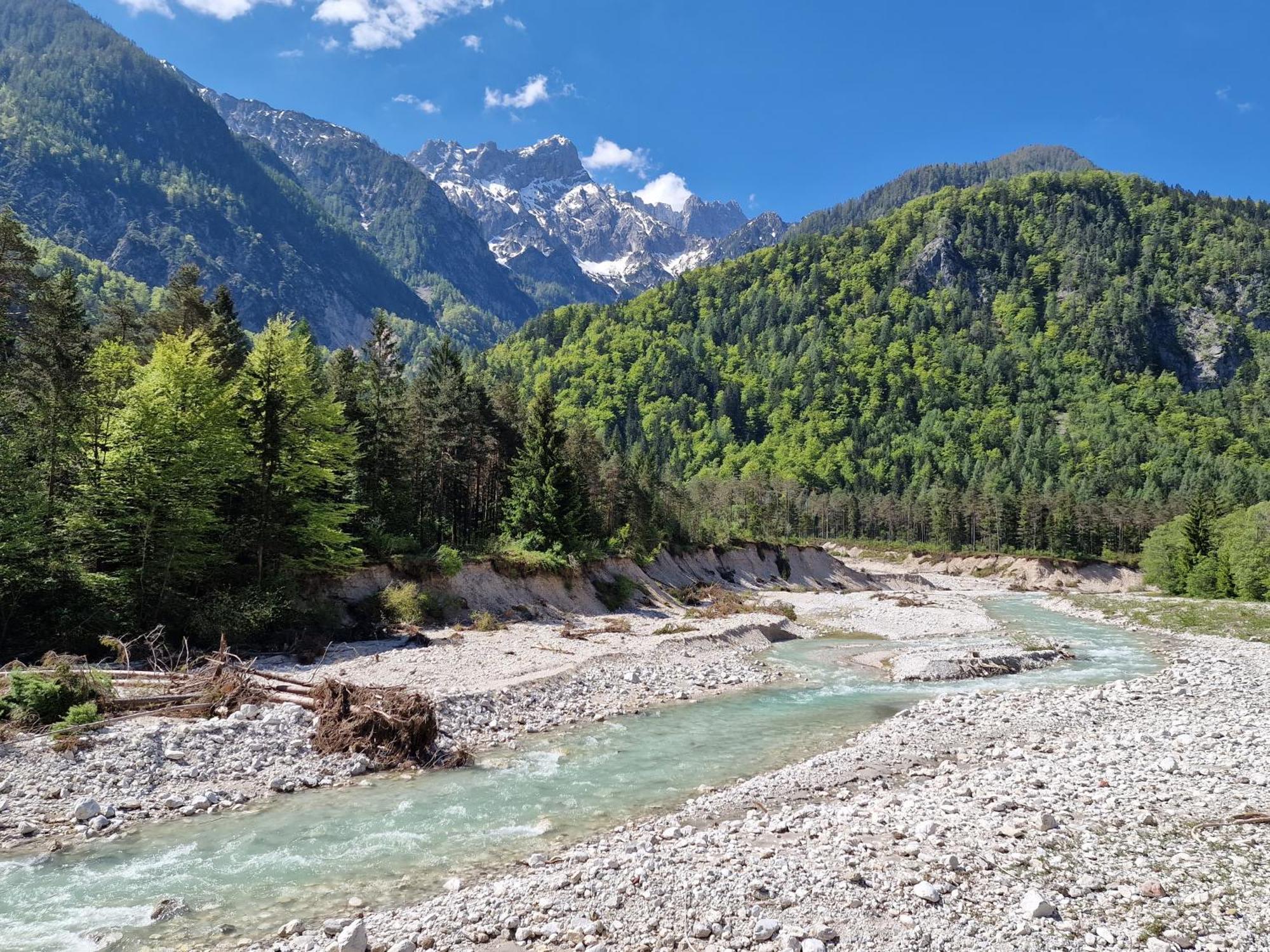 Zajcek Apartma Mojstrana Luaran gambar
