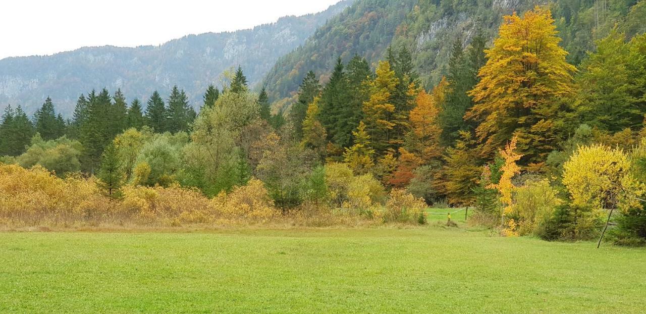 Zajcek Apartma Mojstrana Luaran gambar