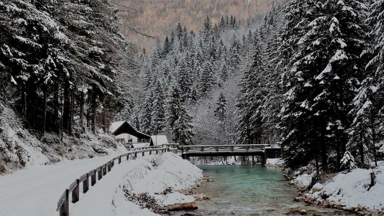 Zajcek Apartma Mojstrana Luaran gambar