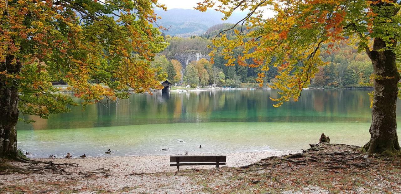 Zajcek Apartma Mojstrana Luaran gambar