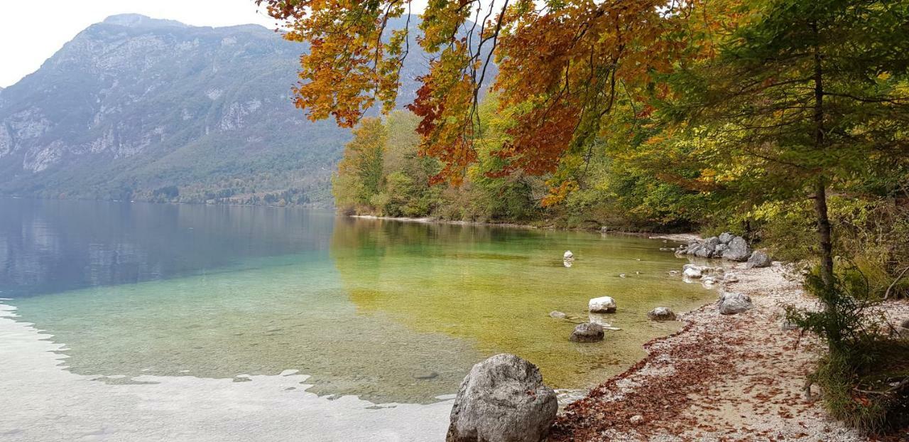 Zajcek Apartma Mojstrana Luaran gambar