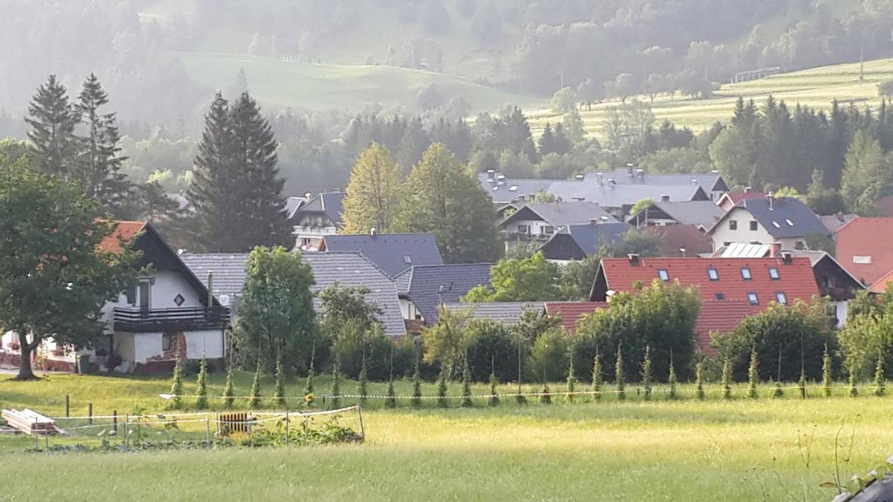 Zajcek Apartma Mojstrana Luaran gambar
